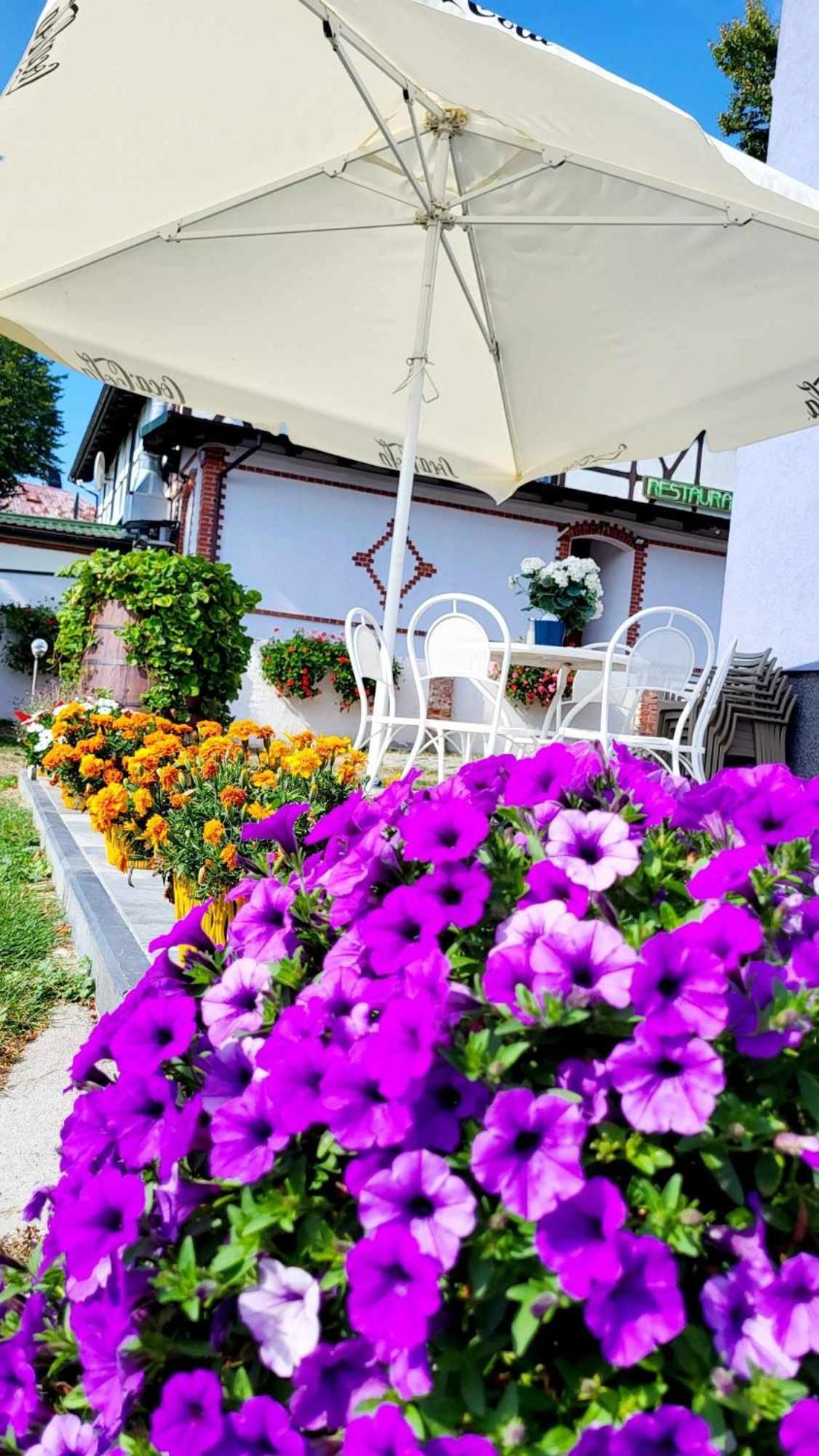 Villa Blue Mare Ustronie Morskie Extérieur photo